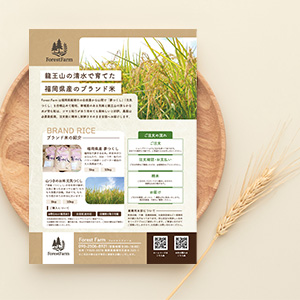 チラシ実績画像